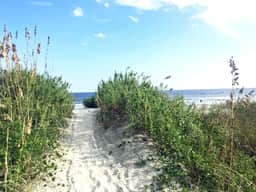Oceanview 2B/2B SC110 Updated Condo with Private Beach Walkway and Pool - Image 2