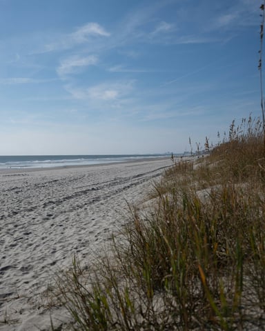 Wide South Carolina beach with sea oats in the foreground and open ocean under blue sky